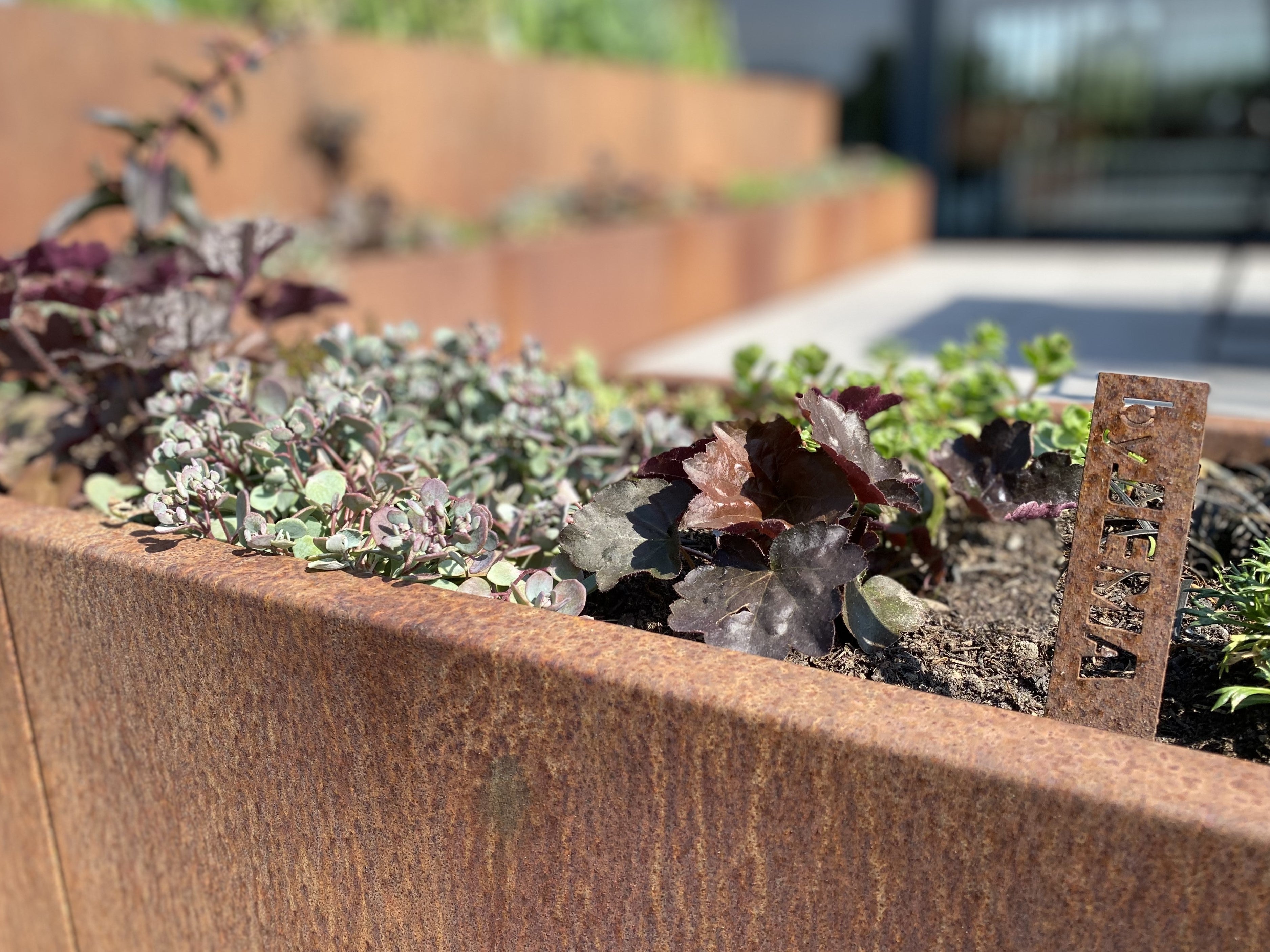 Corten Tall Leaf Rim Patio Planter