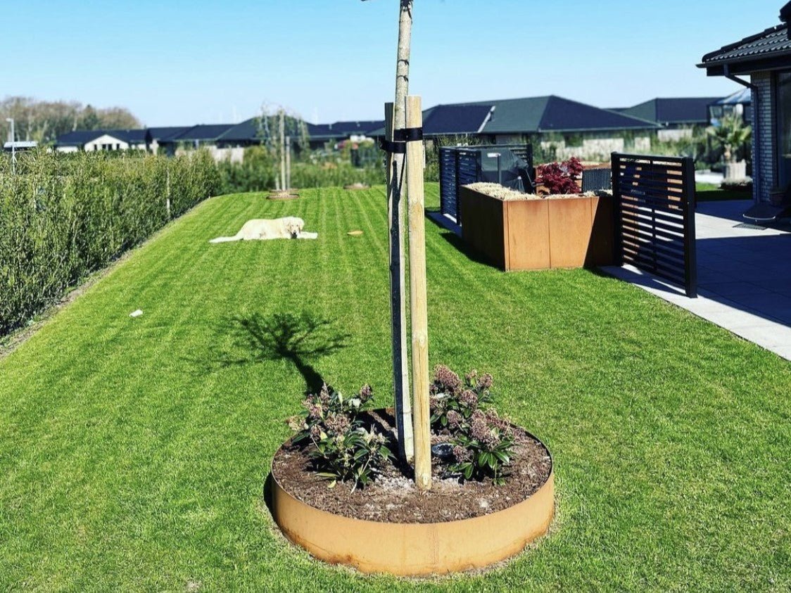 Runde Baumscheibe aus Cortenstahl um jungen Baum – dekorative und pflegeleichte Beetumrandung