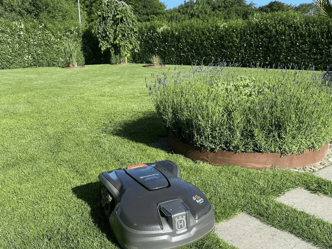 Großer runder Beetring aus Cortenstahl mit Lavendel im Rasen – stabile Beetumrandung aus Metall in Rostoptik