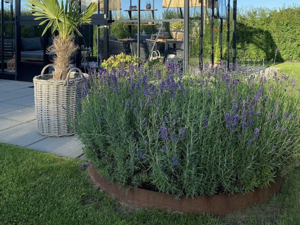 Runder Pflanzring aus Cortenstahl im Terrassengarten – elegante Beeteinfassung mit natürlicher Patina