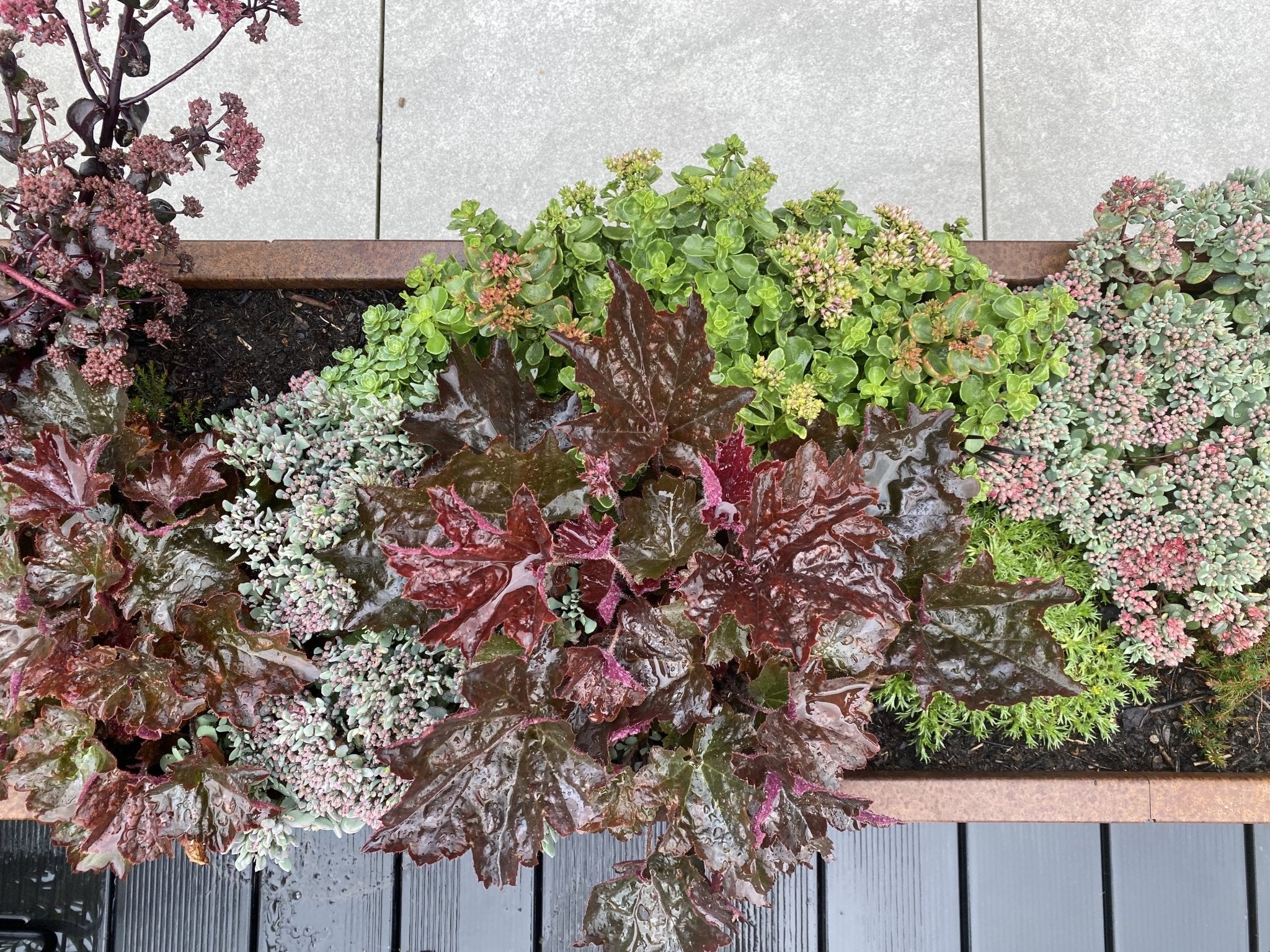byJEMA Hochbeet aus Cortenstahl mit bunten Blumen – Hochbeet als dekoratives Gestaltungselement im Garten