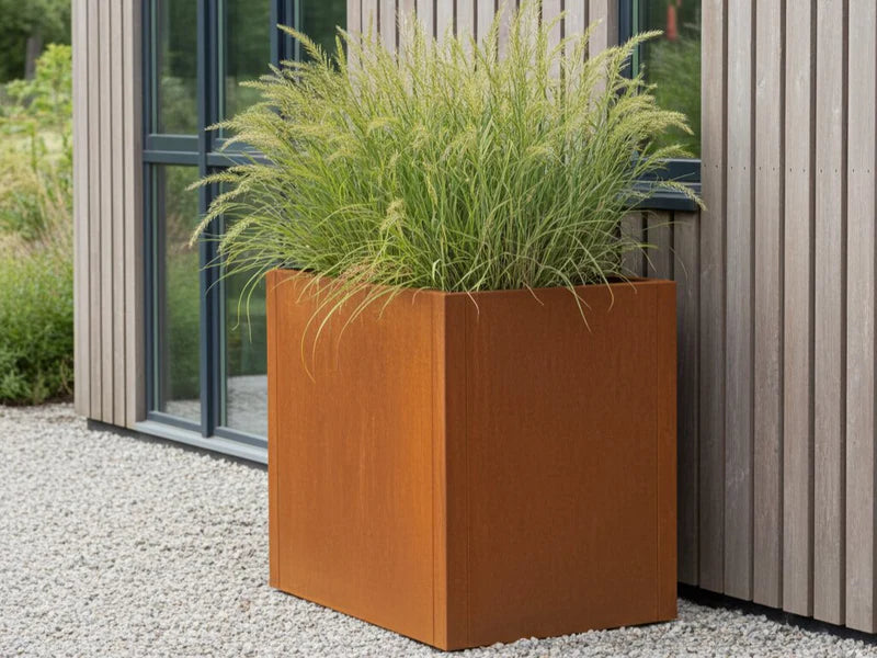 CUBY Pflanzkasten aus Cortenstahl mit hohem Ziergras vor moderner Hausfassade