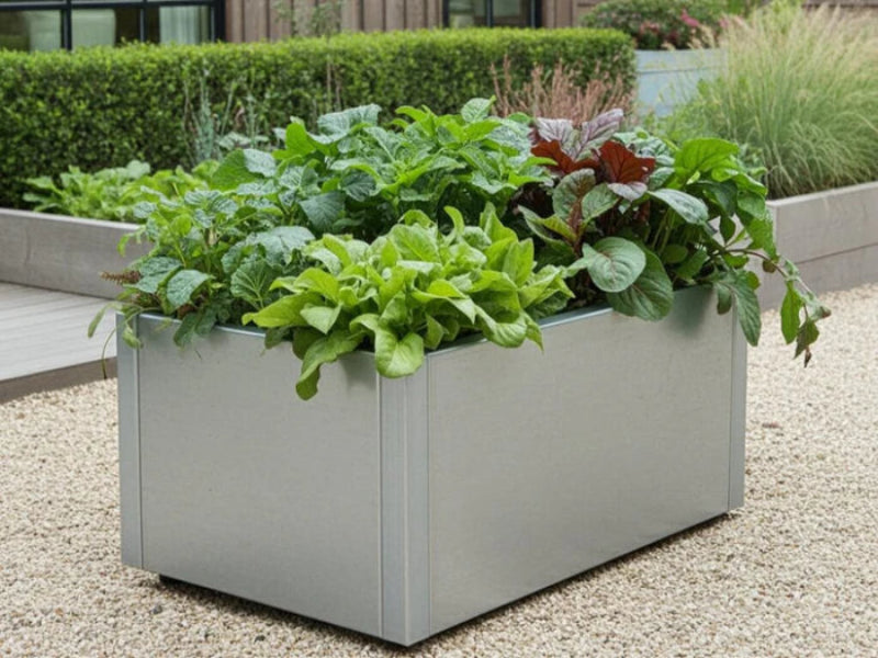 Hochbeet aus verzinktem Metall mit Salat und Kräutern