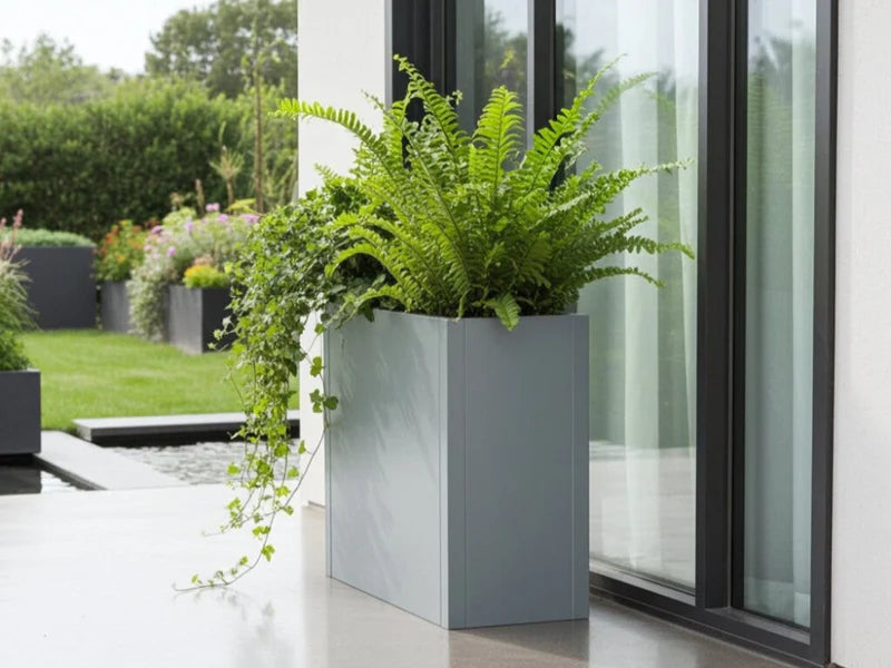CUBY hoher rechteckiger Pflanzkübel aus verzinktem Stahl mit Farnen an Glasfront