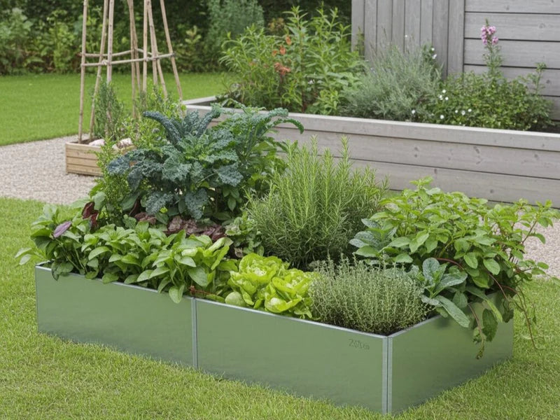 Galvanisiertes EDGY Hochbeet mit dichter Gemüse- und Kräuterbepflanzung