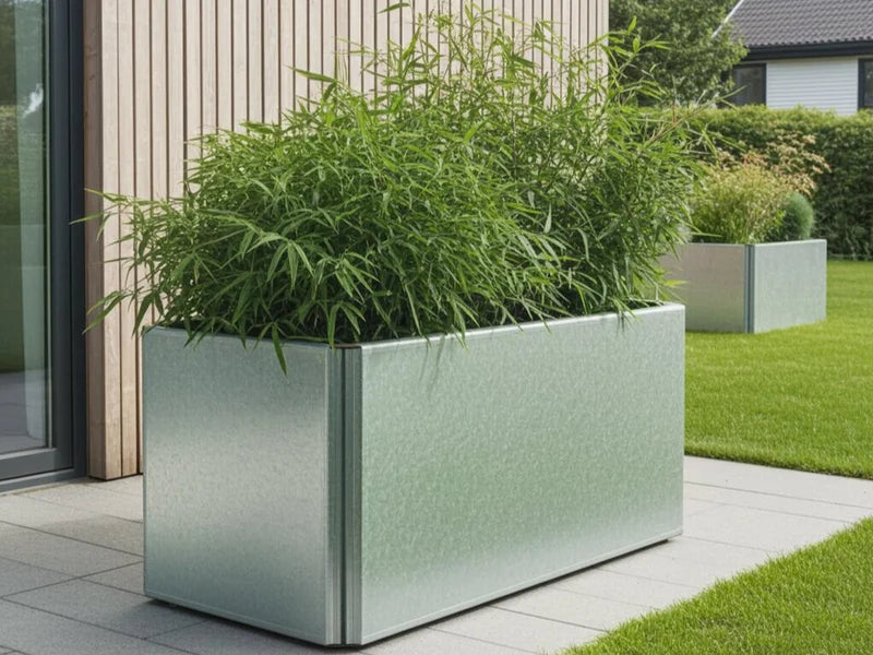 EDGY Pflanzkübel aus verzinktem Stahl mit Bambus an moderner Fassade