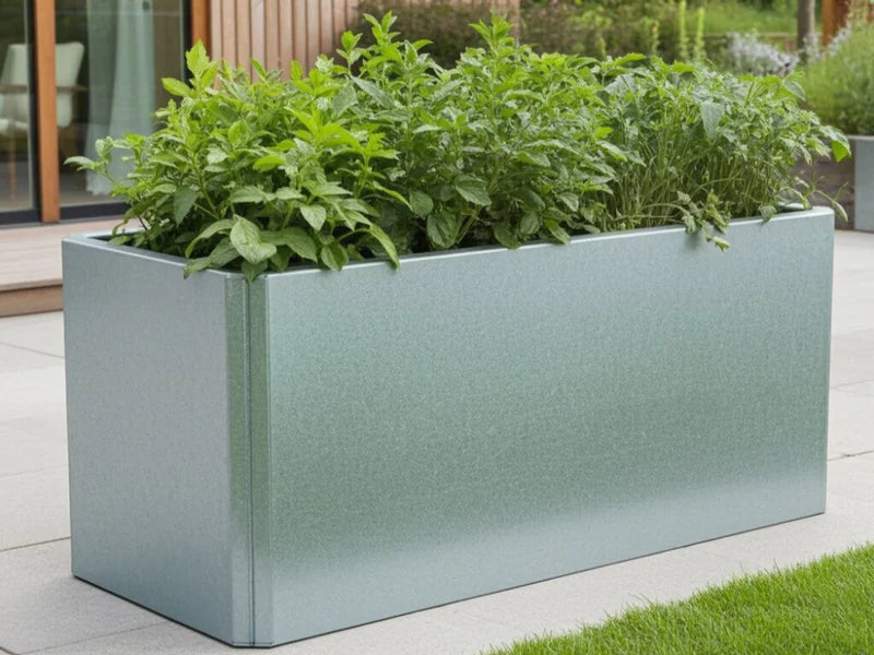 Niedriger rechteckiger EDGY Pflanzkübel aus verzinktem Stahl mit Kräutern