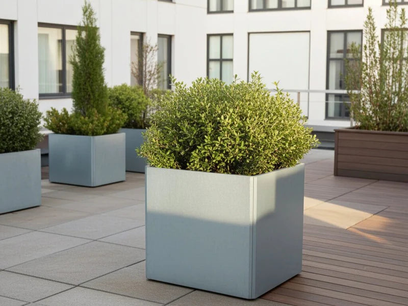 EDGY Pflanzkübel aus verzinktem Stahl mit Strauch im modernen Innenhof
