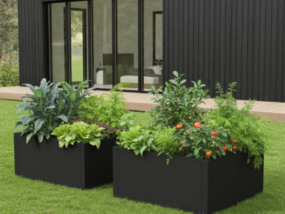 Schwarzes Hochbeet aus Metall CUBY mit Salat und Gemüse vor modernem Haus