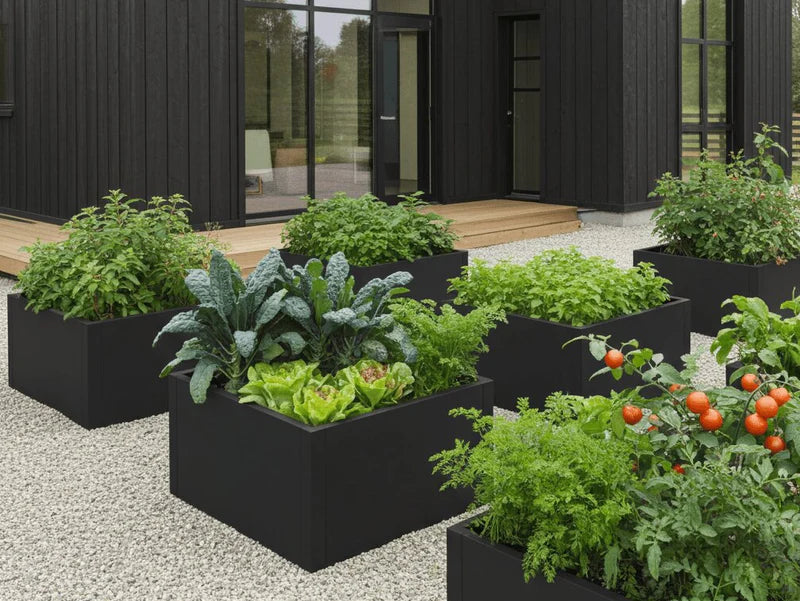 Hochbeete aus schwarzem Stahl mit Gemüse und Kräutern im modernen Gartenhof