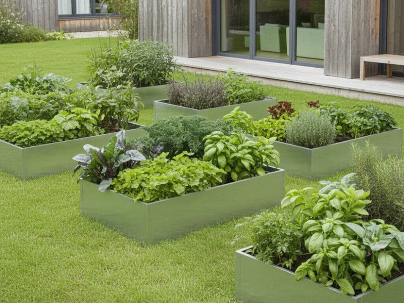 Hochbeete aus verzinktem Stahl mit Salat, Kräutern und Gemüse im Küchengarten