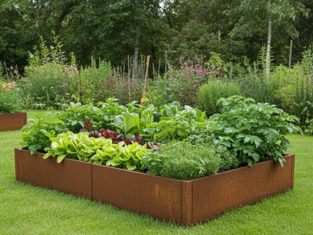 CUBY großes Hochbeet aus Cortenstahl mit Gemüse im Garten