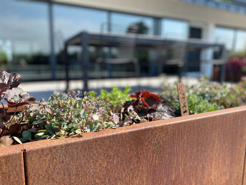 Cortenståls plantekasse med sedum
