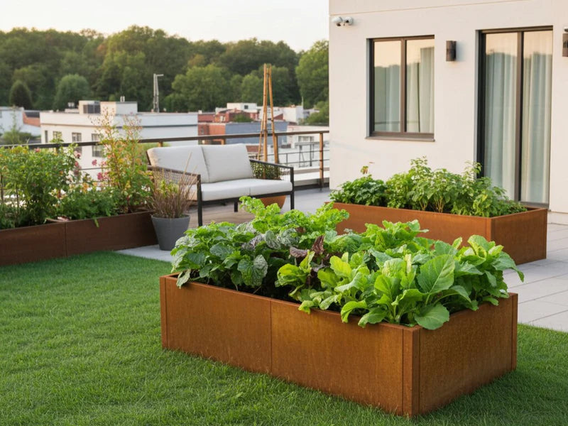 Raised bed corten steel CUBY 150 x 80 x 40 cm