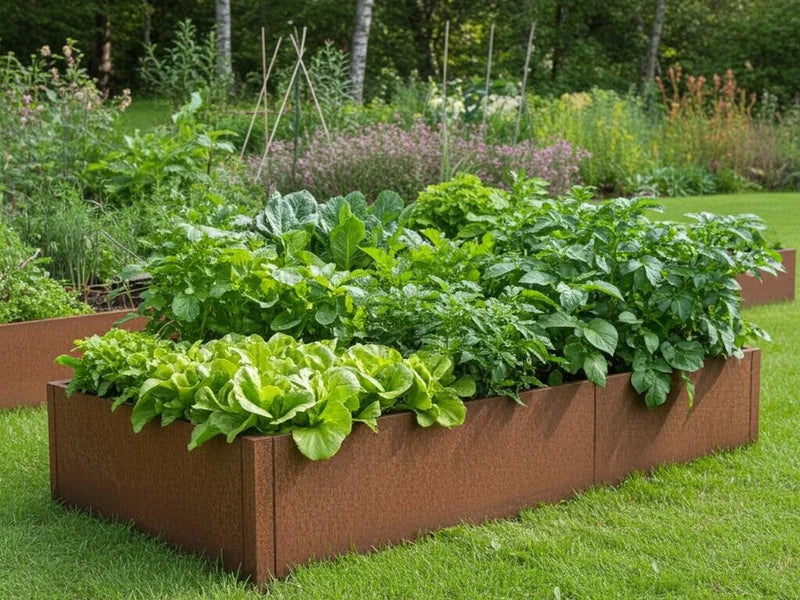 Raised bed corten steel CUBY 150 x 80 x 40 cm