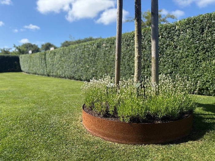 Runde Beeteinfassung aus Cortenstahl mit Pflanzen entlang einer Gartenhecke