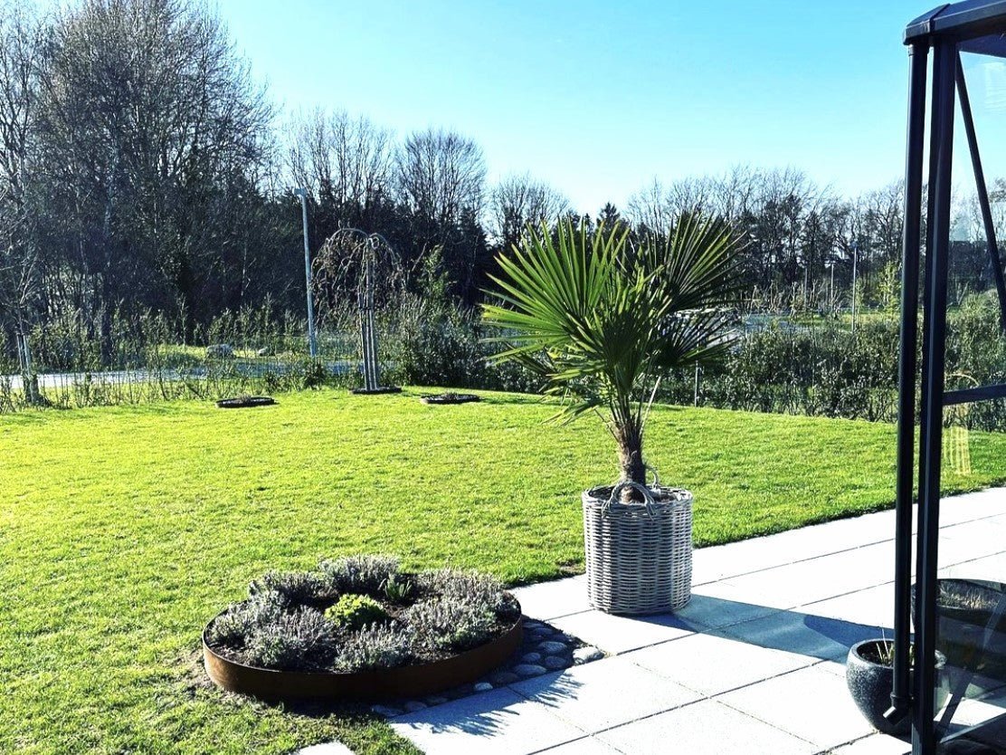 Runder Pflanzring aus Cortenstahl im modernen Terrassengarten – hochwertige Beetumrandung mit Rostpatina