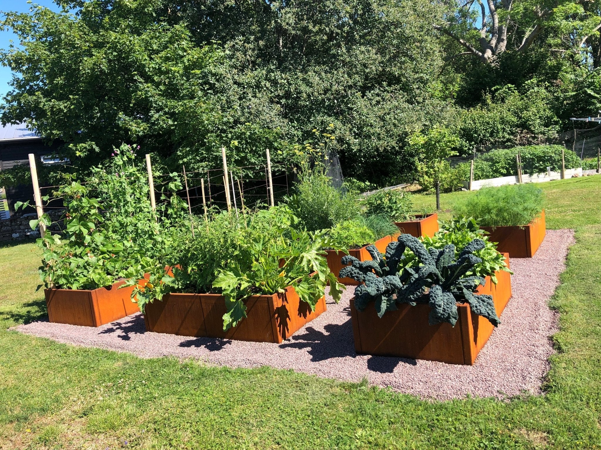 Großer Gemüsegarten mit Hochbeeten aus Cortenstahl 80 cm breit – langlebige Beete mit natürlicher Rostpatina