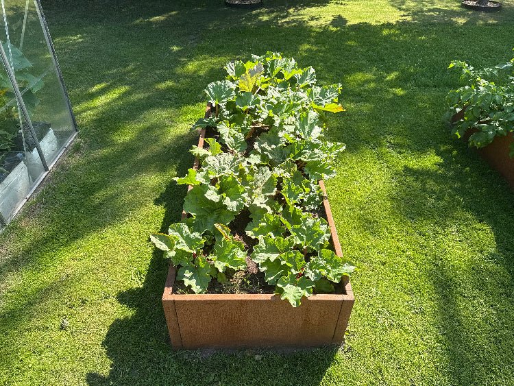 Rechteckiges Hochbeet aus Cortenstahl 80 cm breit – robuste Gartenlösung für Gemüse und Salat