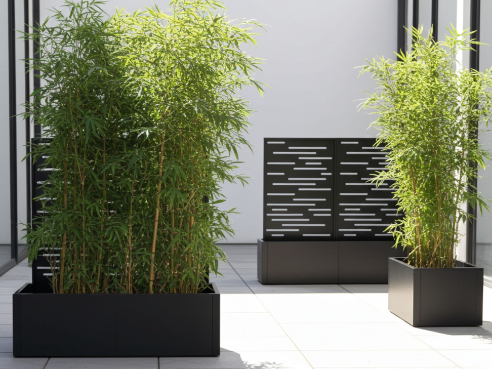 Schwarz lackierte Stahl-Pflanzkübel mit Spalier, eingesetzt als Sichtschutz auf der Terrasse.