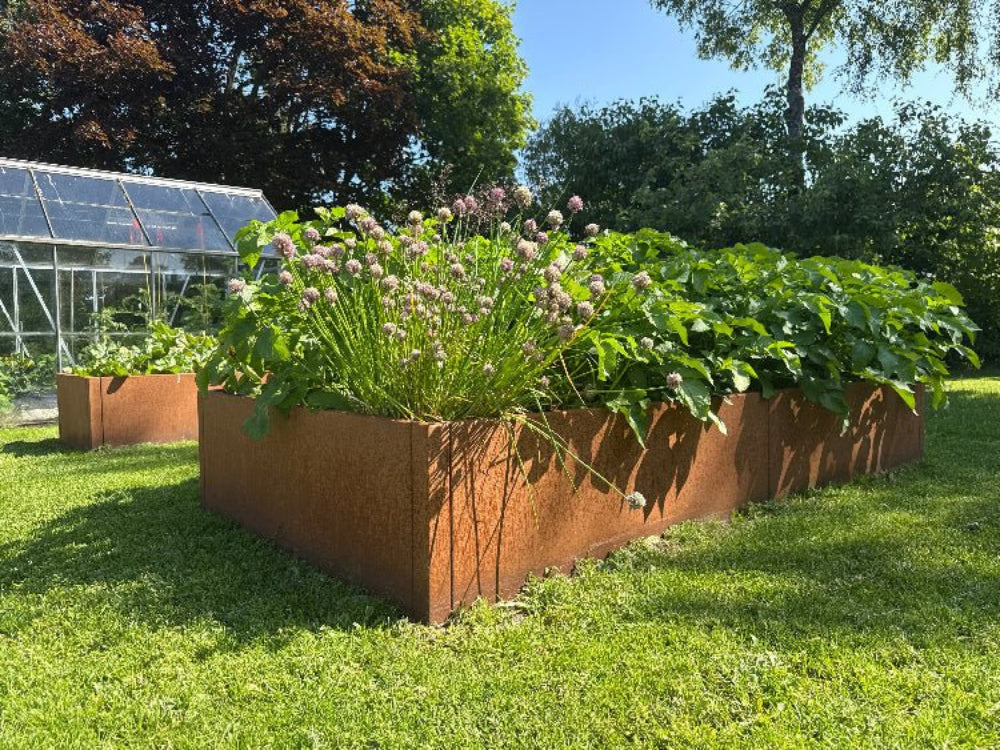 CUBY Hochbeet aus Cortenstahl beim Gewächshaus im Garten