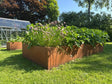 CUBY Hochbeet aus Cortenstahl beim Gewächshaus im Garten