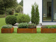 Raised bed corten steel CUBY. W60 x H40 cm, multiple lengths