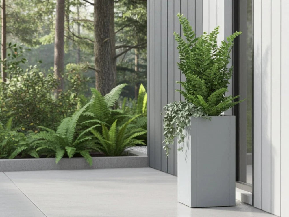 CUBY Pflanzkübel aus verzinktem Stahl mit Farnen am Haus