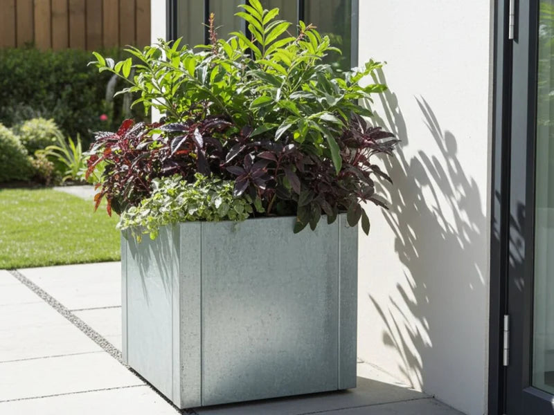 CUBY niedriger quadratischer Pflanzkübel aus verzinktem Stahl am Eingangsbereich mit üppiger Bepflanzung
