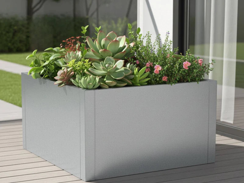 CUBY Pflanzkübel aus verzinktem Stahl mit Sukkulenten auf Terrasse