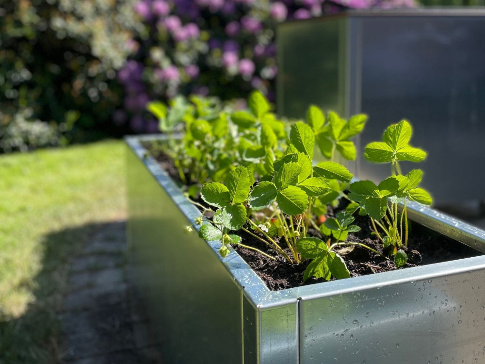 CUBY hoher rechteckiger Pflanzkübel aus verzinktem Stahl