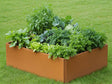 EDGY niedriges quadratisches Hochbeet aus Cortenstahl mit dichter Bepflanzung im Garten