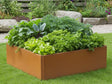 EDGY quadratisches niedriges Hochbeet aus Cortenstahl mit Gemüse im Küchengarten