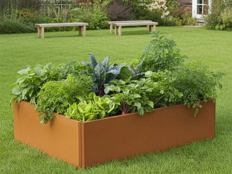 EDGY Hochbeet aus Cortenstahl mit Gemüse auf Rasenfläche