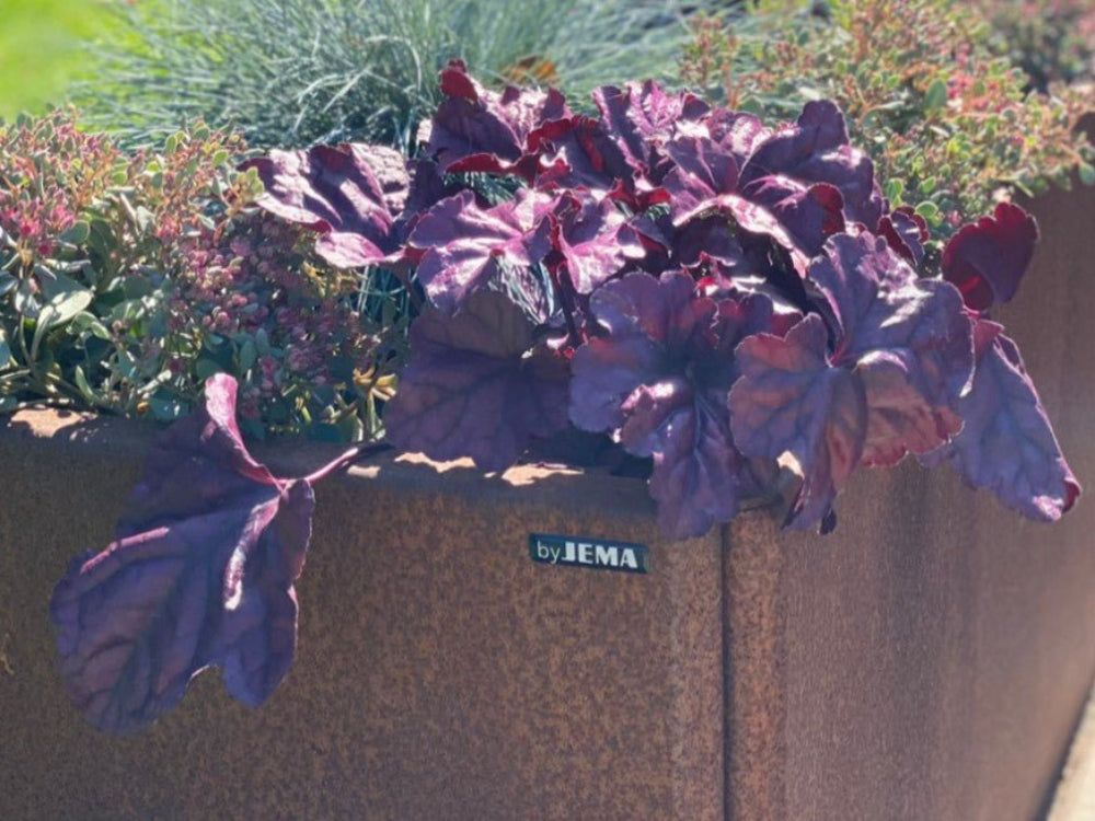 Detail eines EDGY Hochbeets aus Cortenstahl mit byJEMA Logo