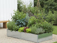 EDGY Hochbeet aus verzinktem Stahl mit vielfältiger Bepflanzung