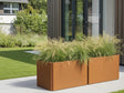 Niedriger rechteckiger EDGY Pflanzkübel aus Cortenstahl mit Ziergras