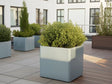 EDGY Pflanzkübel aus verzinktem Stahl mit Strauch im modernen Innenhof