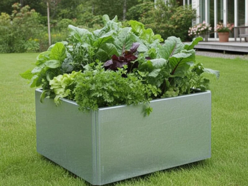 Niedriger quadratischer EDGY Pflanzkübel aus verzinktem Stahl im Garten