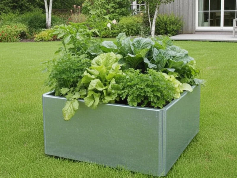 Quadratischer niedriger EDGY Pflanzkübel aus verzinktem Stahl mit Gemüse