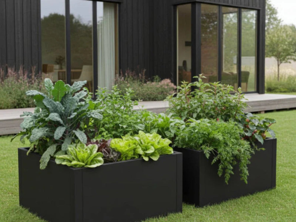 Schwarzes Hochbeet aus Metall CUBY mit Gemüse auf moderner Terrasse