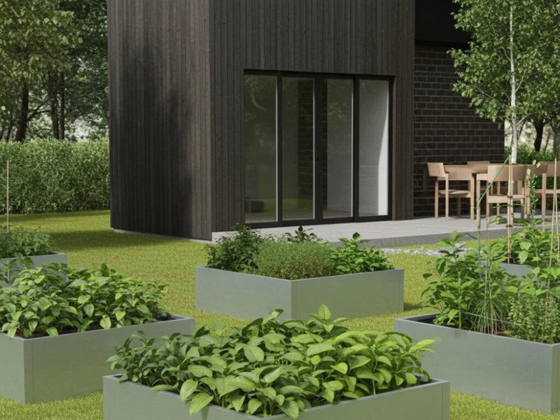 Hochbeete aus verzinktem Stahl mit Kräutern im Terrassengarten bei moderner Villa