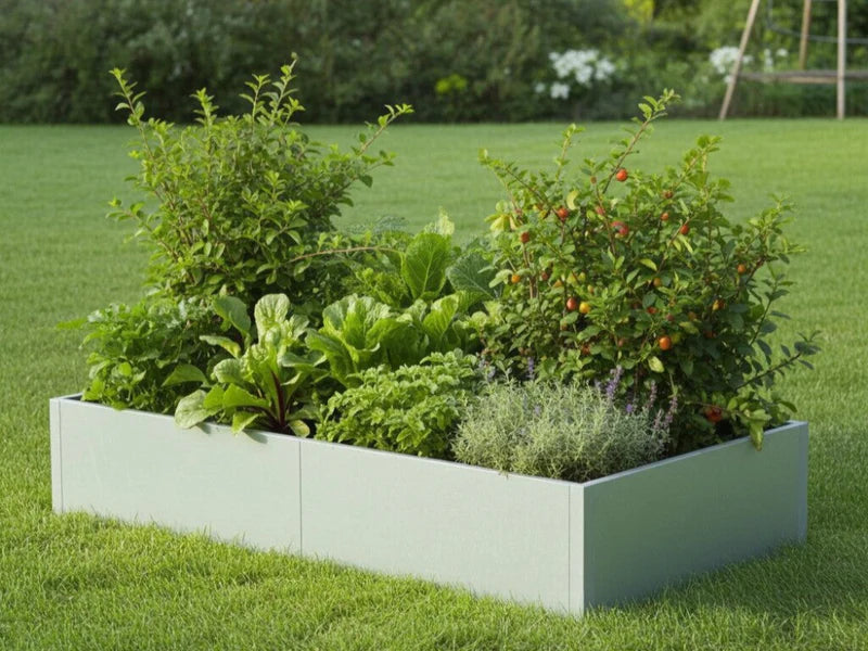 Hochbeet aus verzinktem Stahl mit Pflanzen und Beerenstrauch im Garten