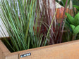 Planter box corten steel CUBY 80 x 40 x 80 cm