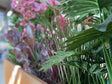 Planter box corten steel CUBY 80 x 40 x 80 cm