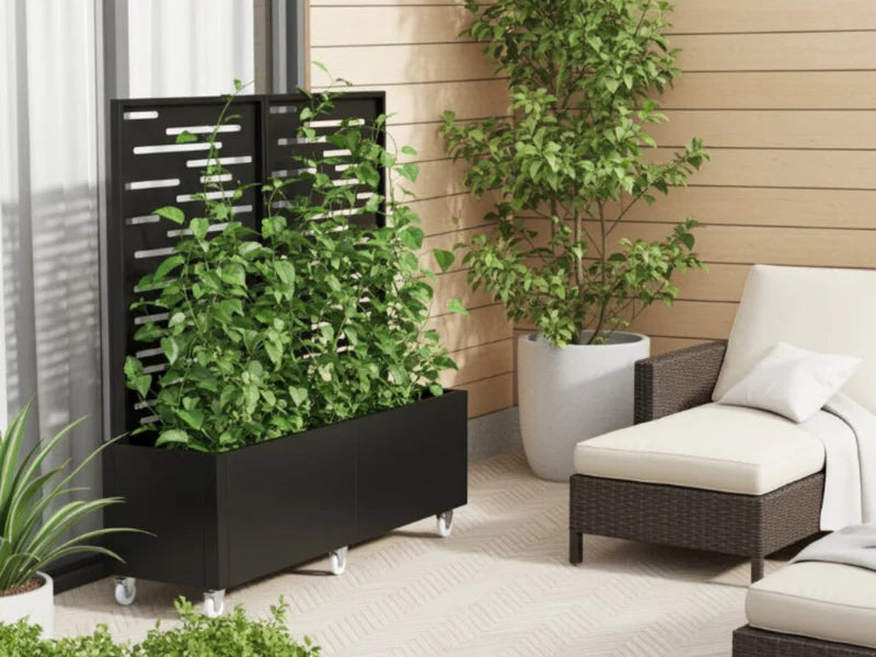 Mobiler Pflanzkasten mit Rankgitter aus schwarzem Stahl auf Rollen