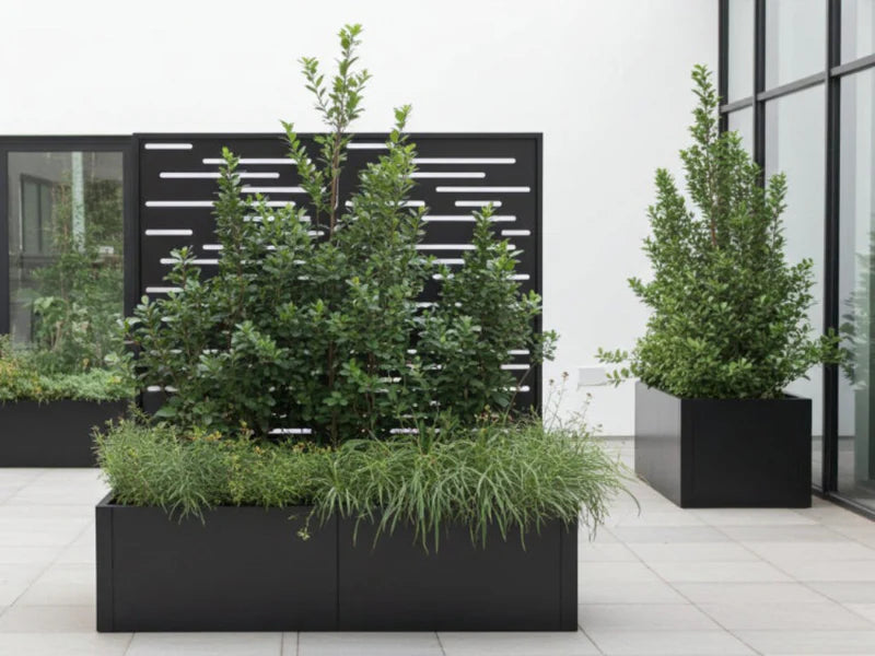 Schwarzer Pflanzkasten mit Rankgitter und Ziergräsern als Sichtschutz