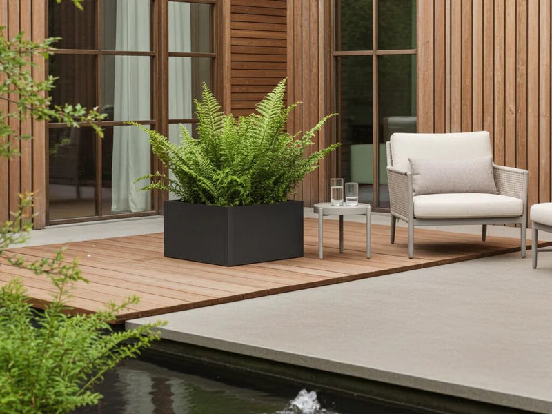 Quadratischer Pflanzkasten aus schwarzem Stahl mit Farnpflanze