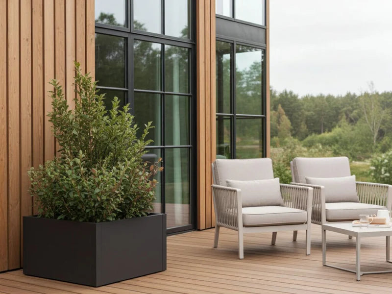 Pflanzkasten aus schwarzem Stahl mit Strauch neben Terrasse