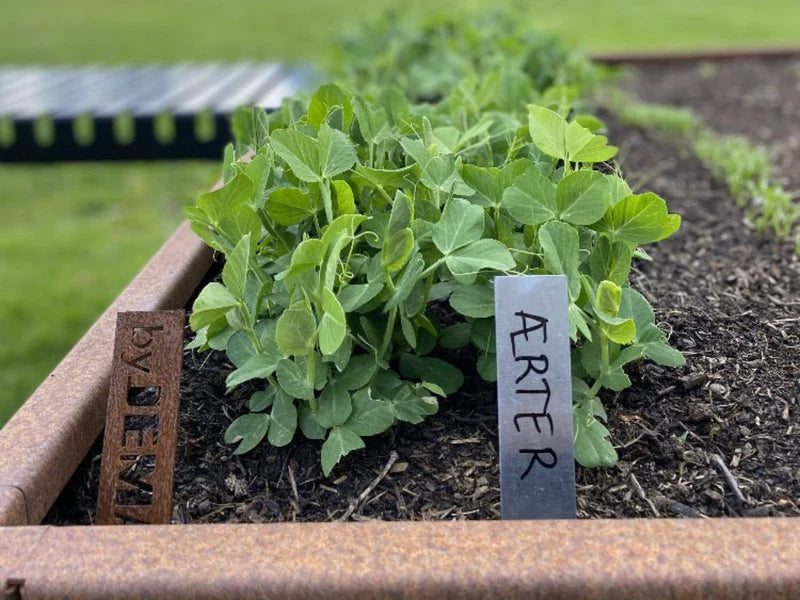 Pflanzschild aus verzinktem Stahl bei Kräutern im Garten